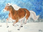 sneeuwpaard25