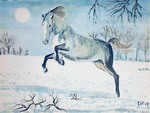 winterhorse24