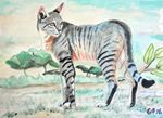 afrikwildekat26