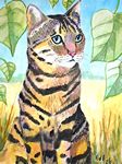 bengatijgerkat26-10