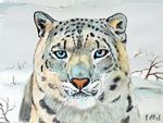 sneeuwpanter26-10