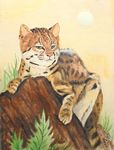tijgerkat25-2