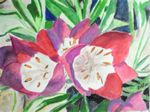 botanischet25