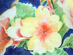 sleutelbloemen25