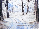 winterbos24