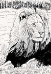 chilllion25