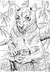 fretkat25
