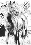 greathorse26
