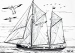 iris26