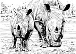 neushoorns25