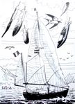 zeilbootbrel