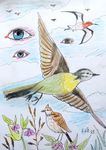 ornithoogen