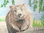wombat25